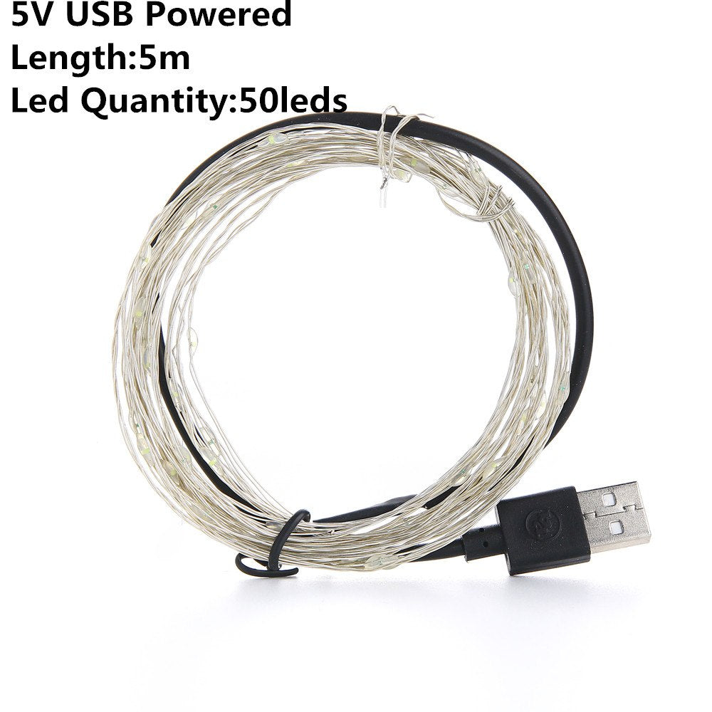LED Copper Wire String Lights for Room Decoration