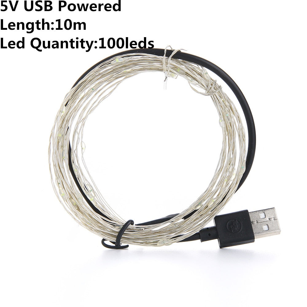 LED Copper Wire String Lights for Room Decoration